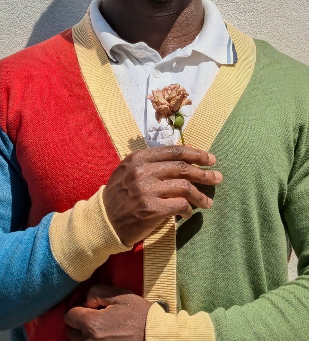 A man in a colour-blocked cardigan in the colours of the Amazigh flag (red, green, yellow and blue). This man is holding a rose against his chest